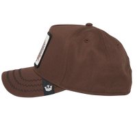 Porcupine Brown Bild 3