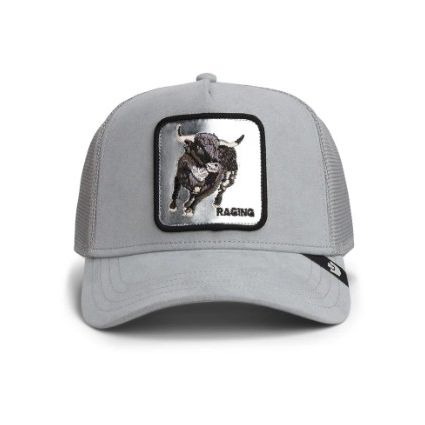Silver Bull Gloss Bild 1