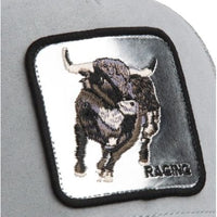 Silver Bull Gloss Bild 3