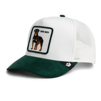 Suede Bad Boy Dust / Guard Bild 2