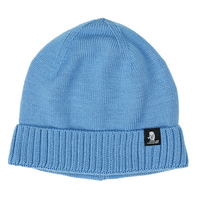 BN Catcher Beanie Powder Blue Bild 1