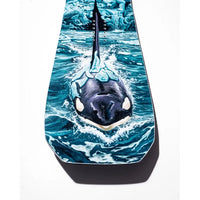GOLDEN ORCA NO COLOR Bild 3