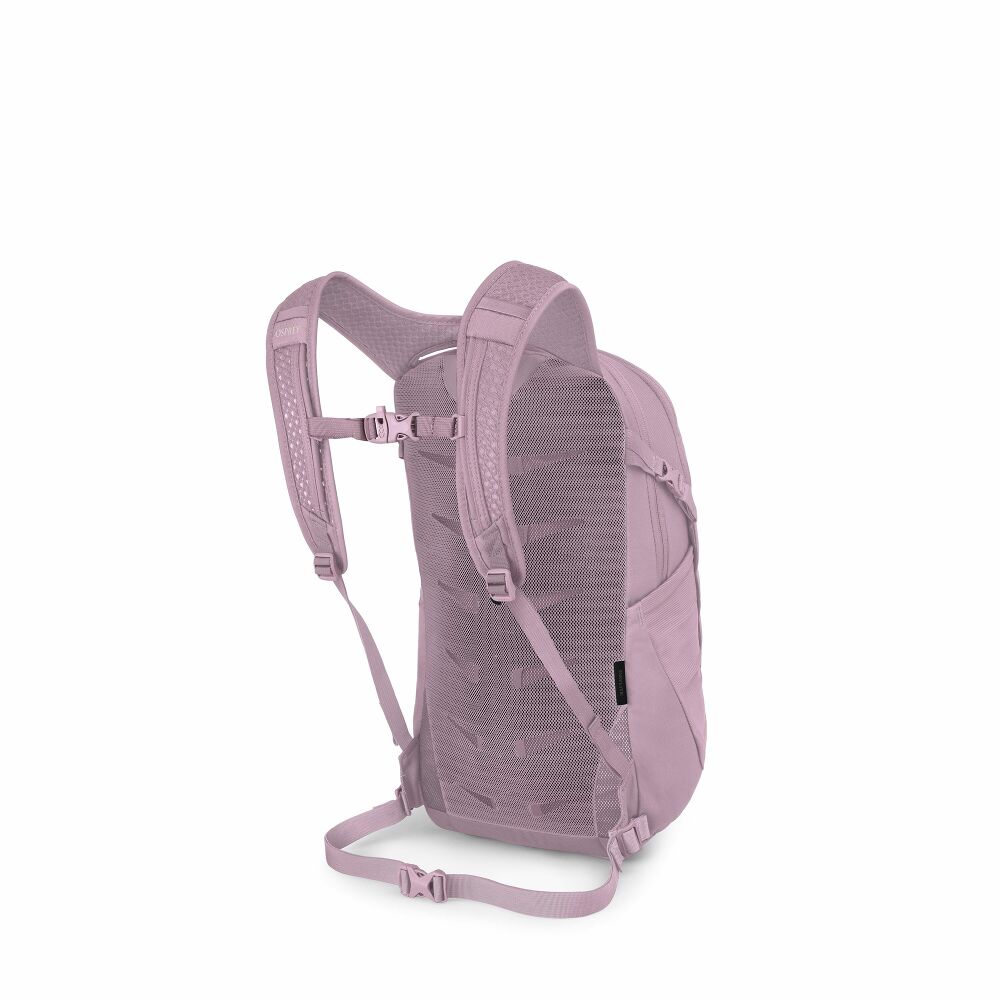 Daylite Iris Pink Bild 2