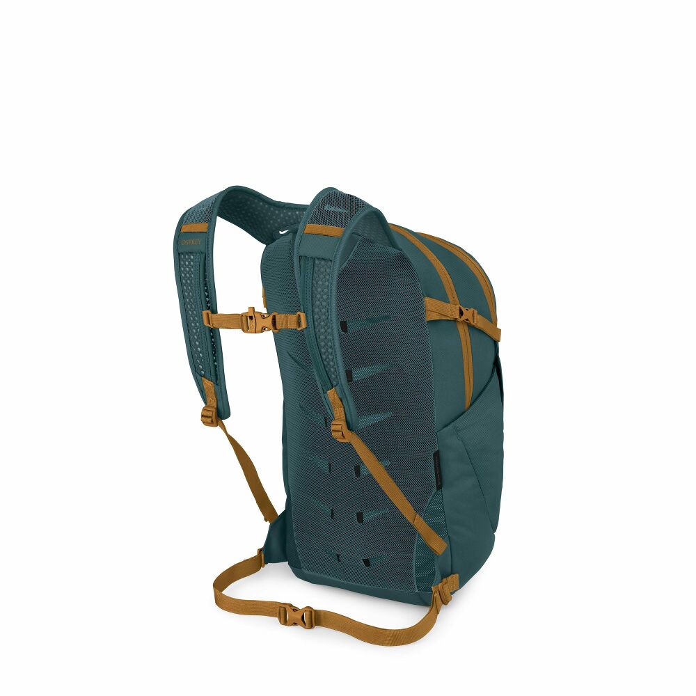 Daylite Plus Torrent Blue Bild 2