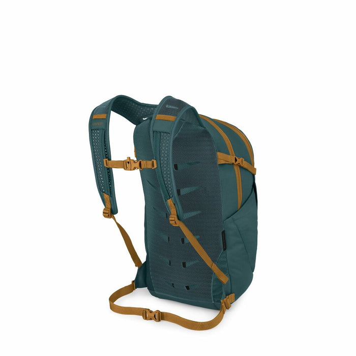Daylite Plus Torrent Blue Bild 2