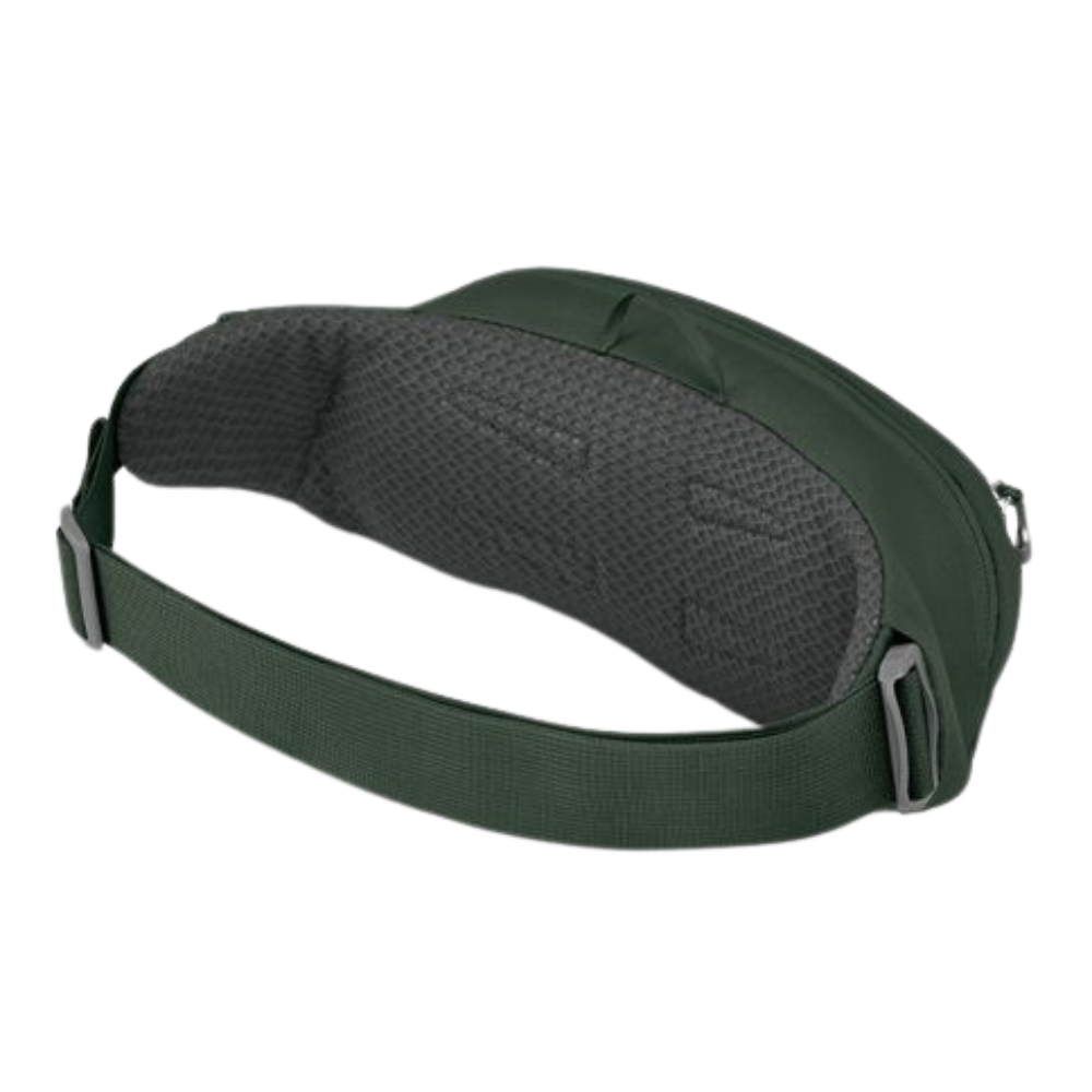 Daylite Waist Pack Green Belt/Green Can Bild 2