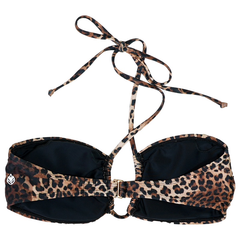 Marinaph Brown Leo Bild 7