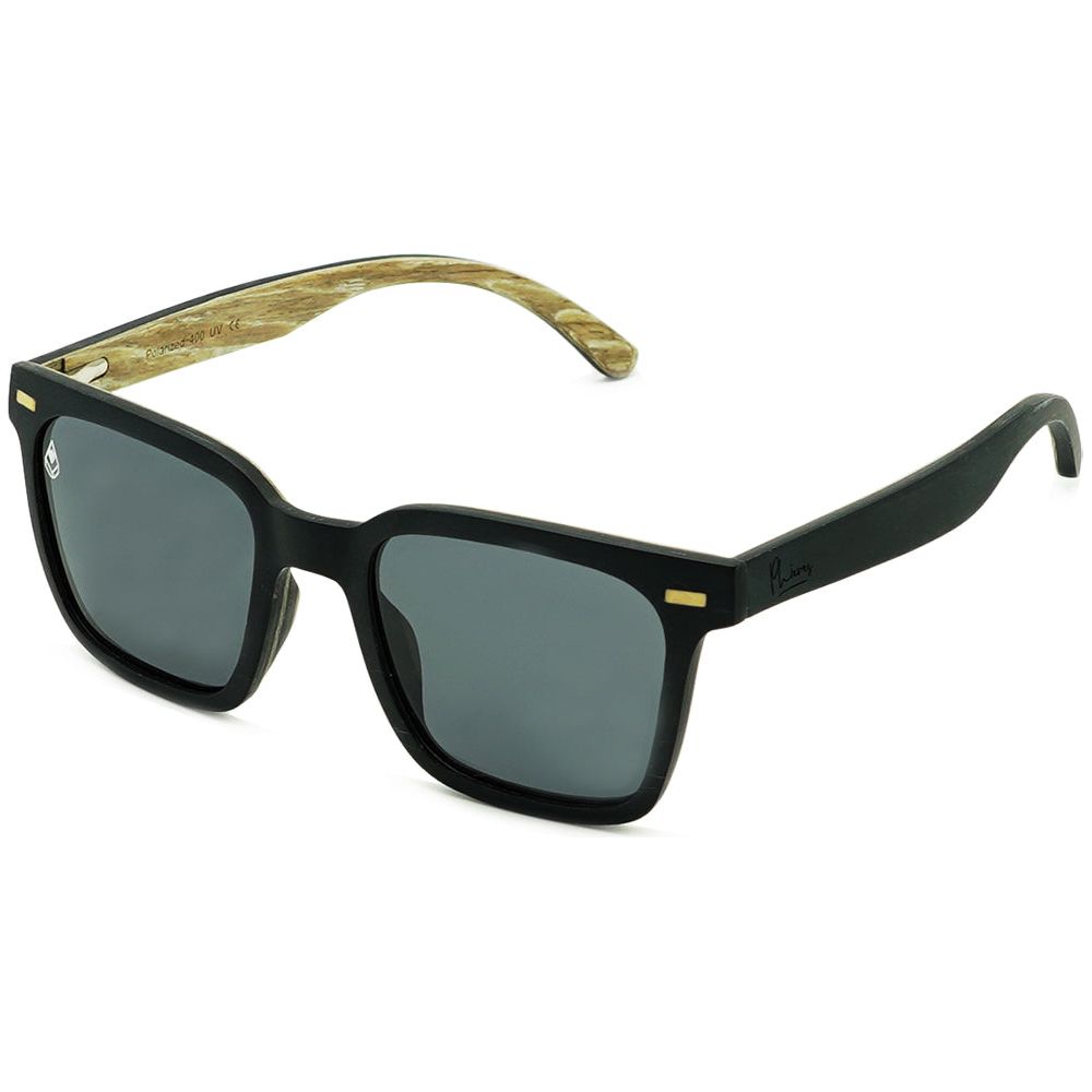 Phell Awaits Gray Polarized Bild 1