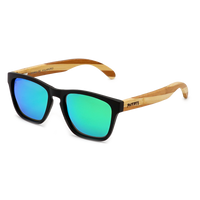 Phiabolus BWW Green Bild 1