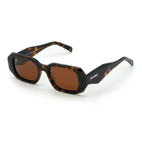 Timeoph II Brown Tortoise/Bronz Bild 1