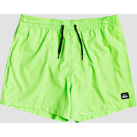 EVERYDAY VOLLEY 15 GREEN GECKO Bild 5
