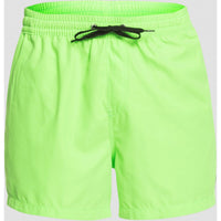 EVERYDAY VOLLEY 15 GREEN GECKO Bild 6