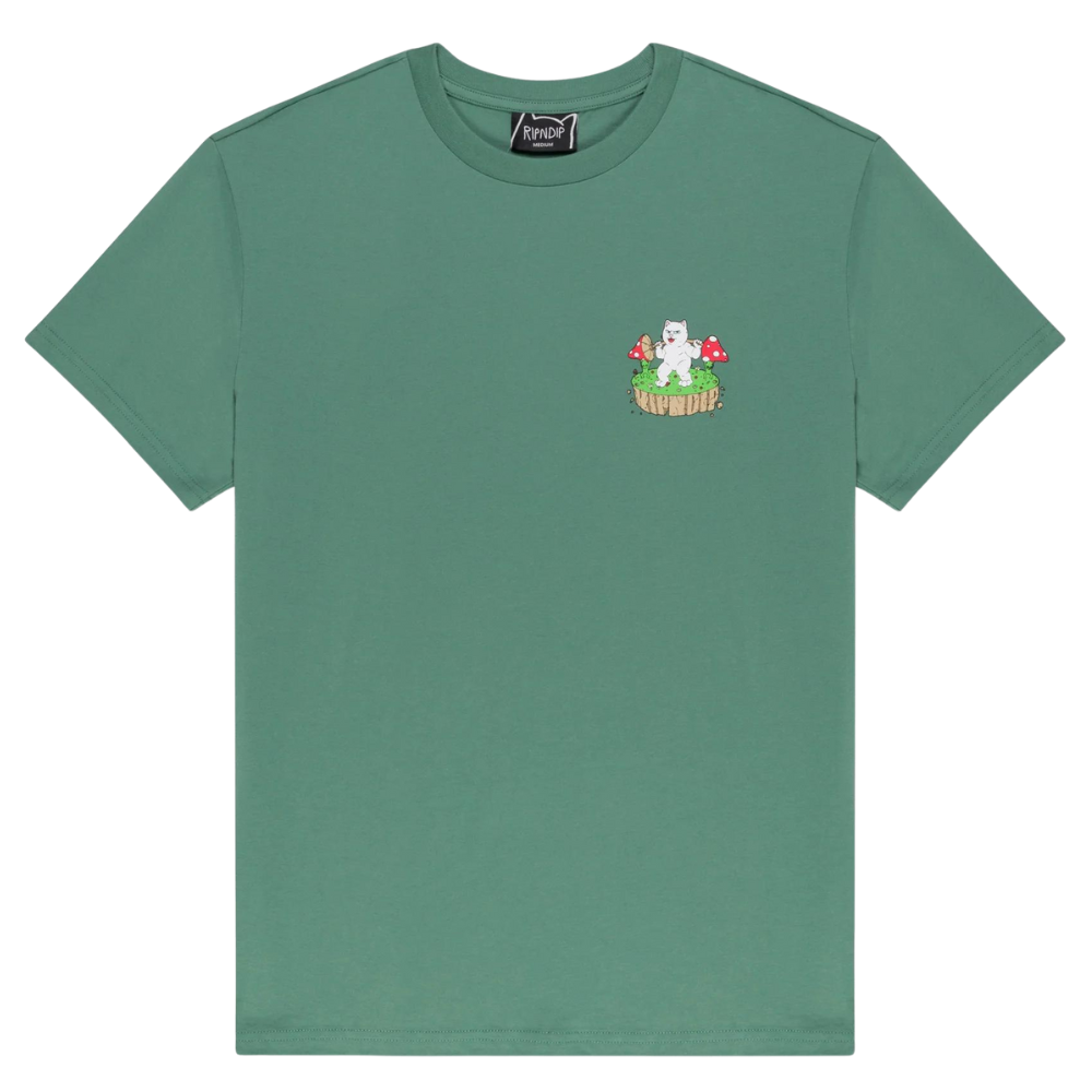 Bulking Olive Bild 1