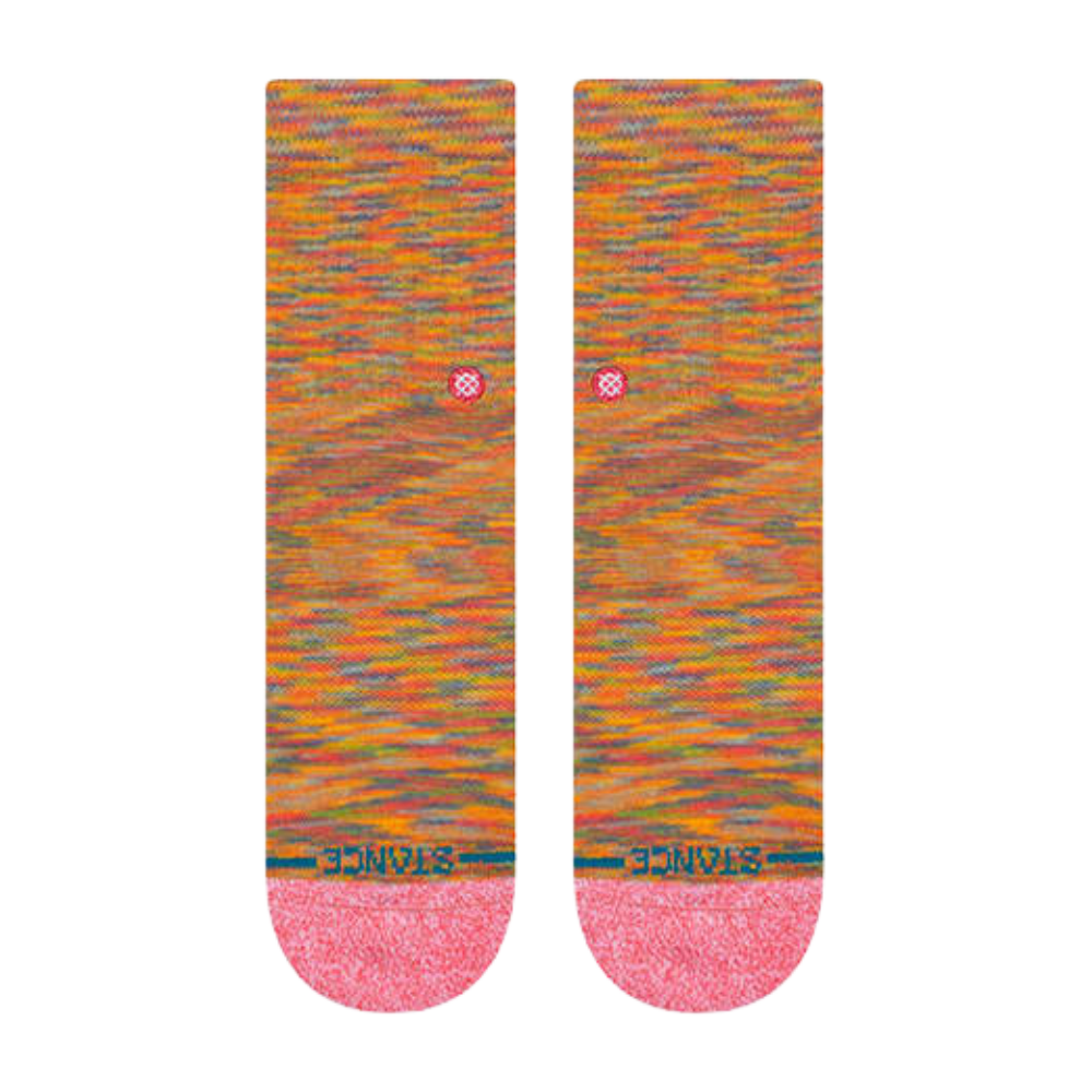 Dino Day Multi Bild 2