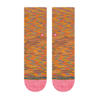 Dino Day Multi Bild 2