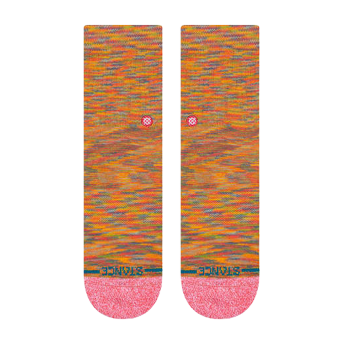 Dino Day Multi Bild 2