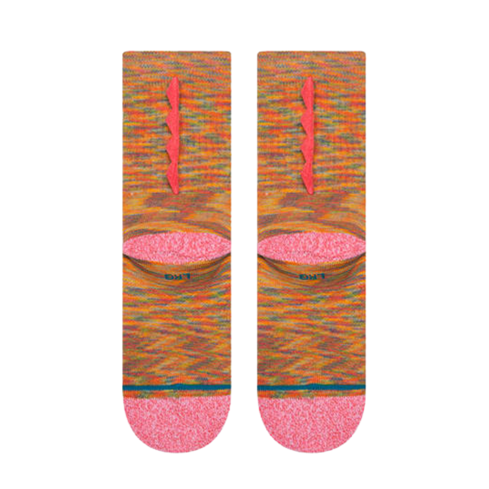 Dino Day Multi Bild 3