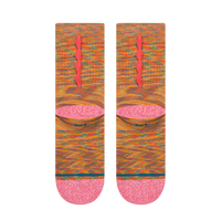 Dino Day Multi Bild 3