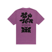 CRITTER SS AMETHYST Bild 2