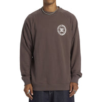 DC CORPO RAGLAN CREW Plum Truffle Bild 3