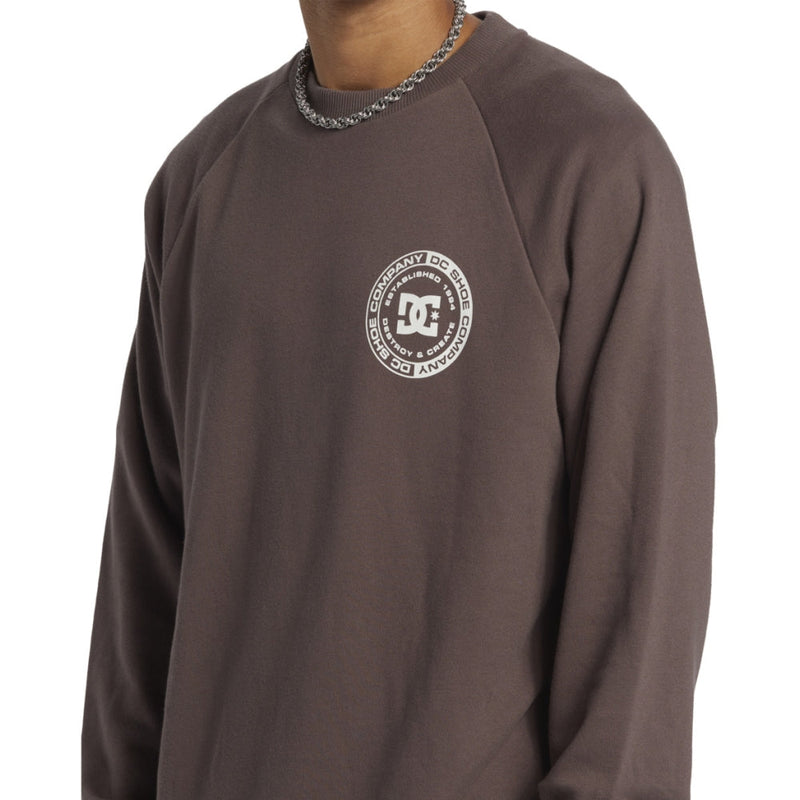 DC CORPO RAGLAN CREW Plum Truffle Bild 4