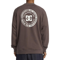 DC CORPO RAGLAN CREW Plum Truffle Bild 5