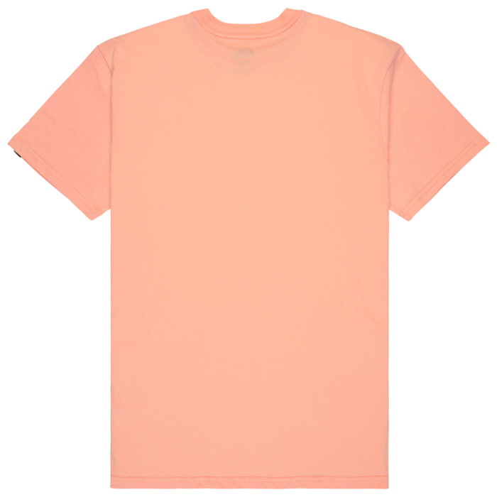 Ev Comp Logo Peach Parfait Bild 2