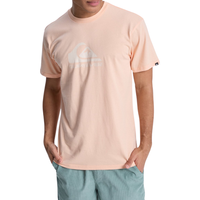 Ev Comp Logo Peach Parfait Bild 3