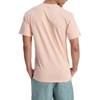 Ev Comp Logo Peach Parfait Bild 4