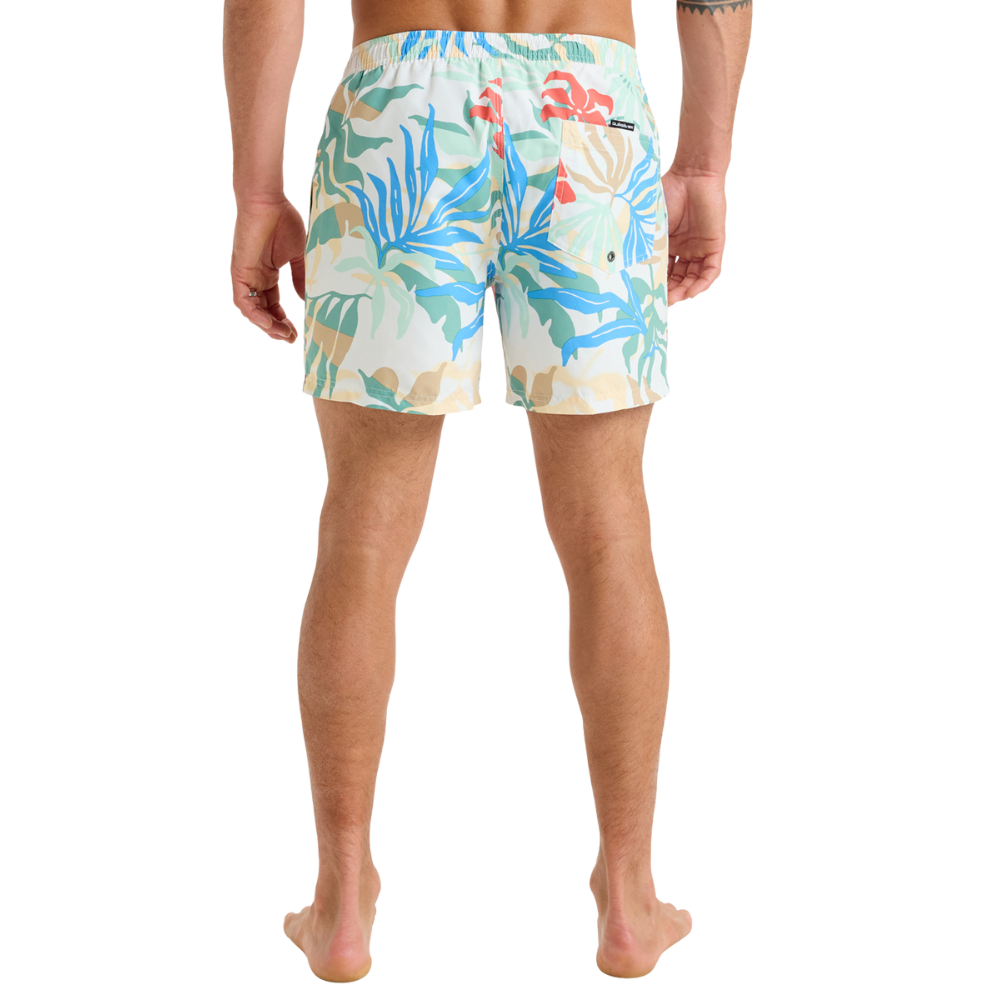 Everyday Whiteblueweed Bild 2