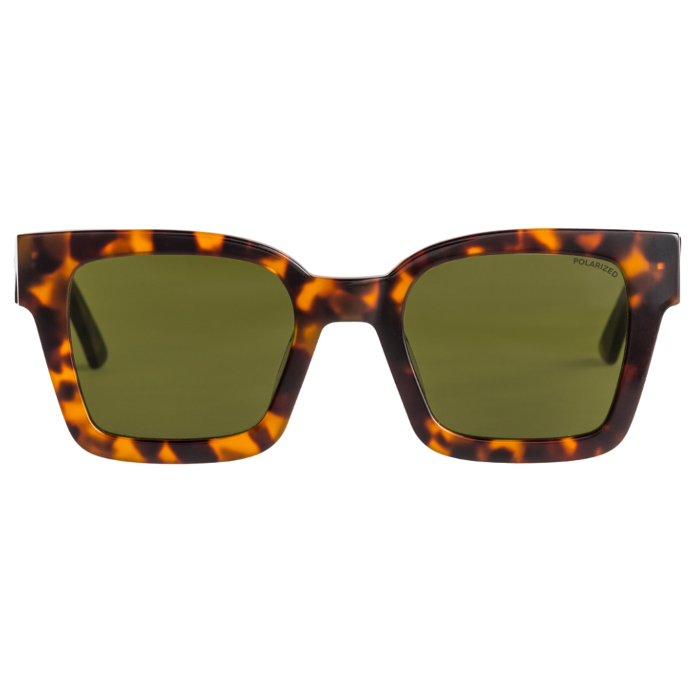 Nicky Polarized Tortoise Brown/Green Bild 2