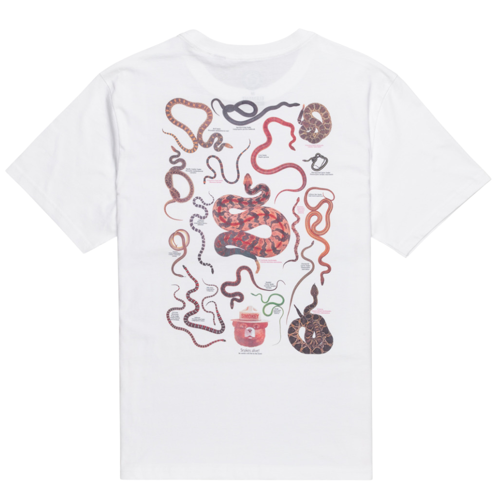 Sbxe Nest Optic White Bild 2