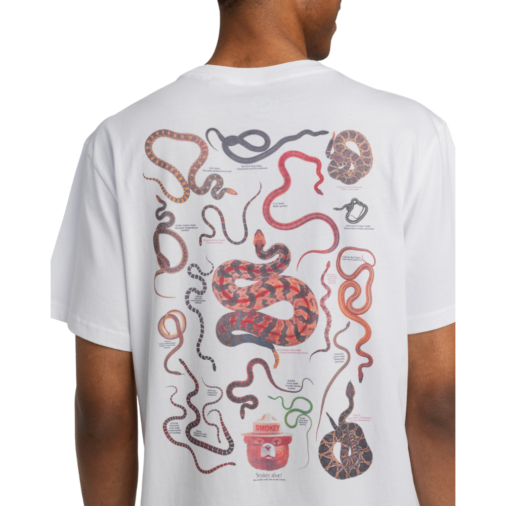 Sbxe Nest Optic White Bild 4