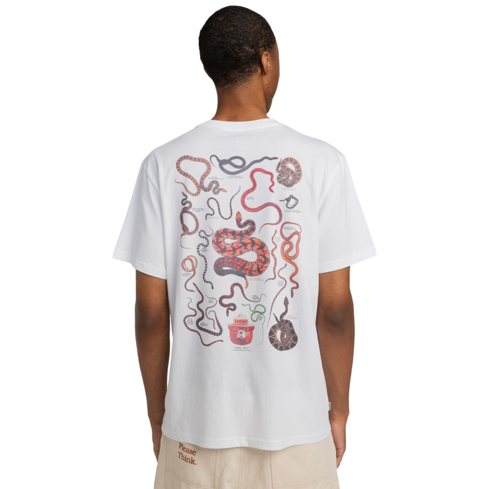 Sbxe Nest Optic White Bild 6