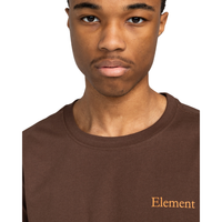 Sbxe Prevent Bracken Bild 4