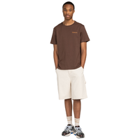 Sbxe Prevent Bracken Bild 6