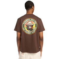 Sbxe Prevent Bracken Bild 7