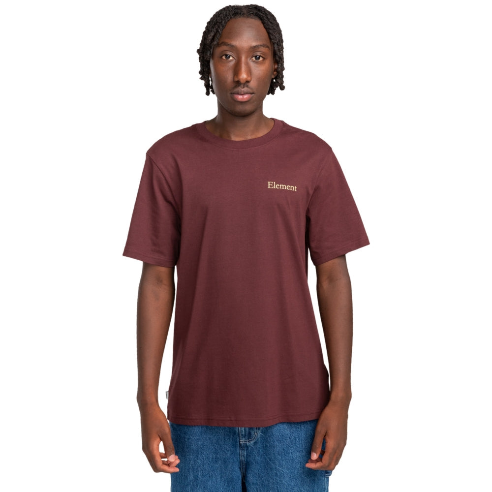 Sbxe Prevent SS Decadent Chocolate Bild 3