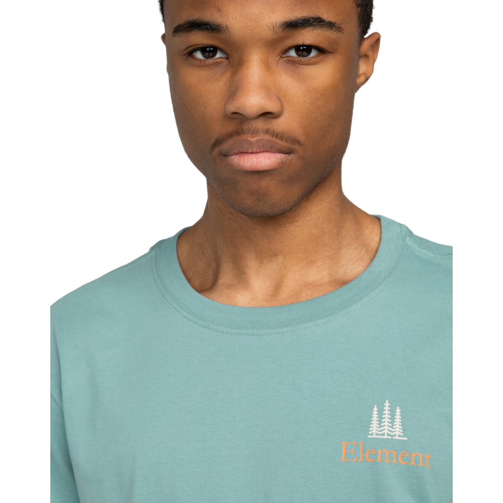 Sbxe Remember Trellis Bild 4