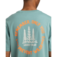 Sbxe Remember Trellis Bild 5