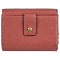 SIDERAL LOVE  WLLT MMS0 CEDAR WOOD Bild 3