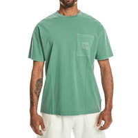 SS BLANK NATURAL DYE  TEE FROSTY SPRUCE Bild 1