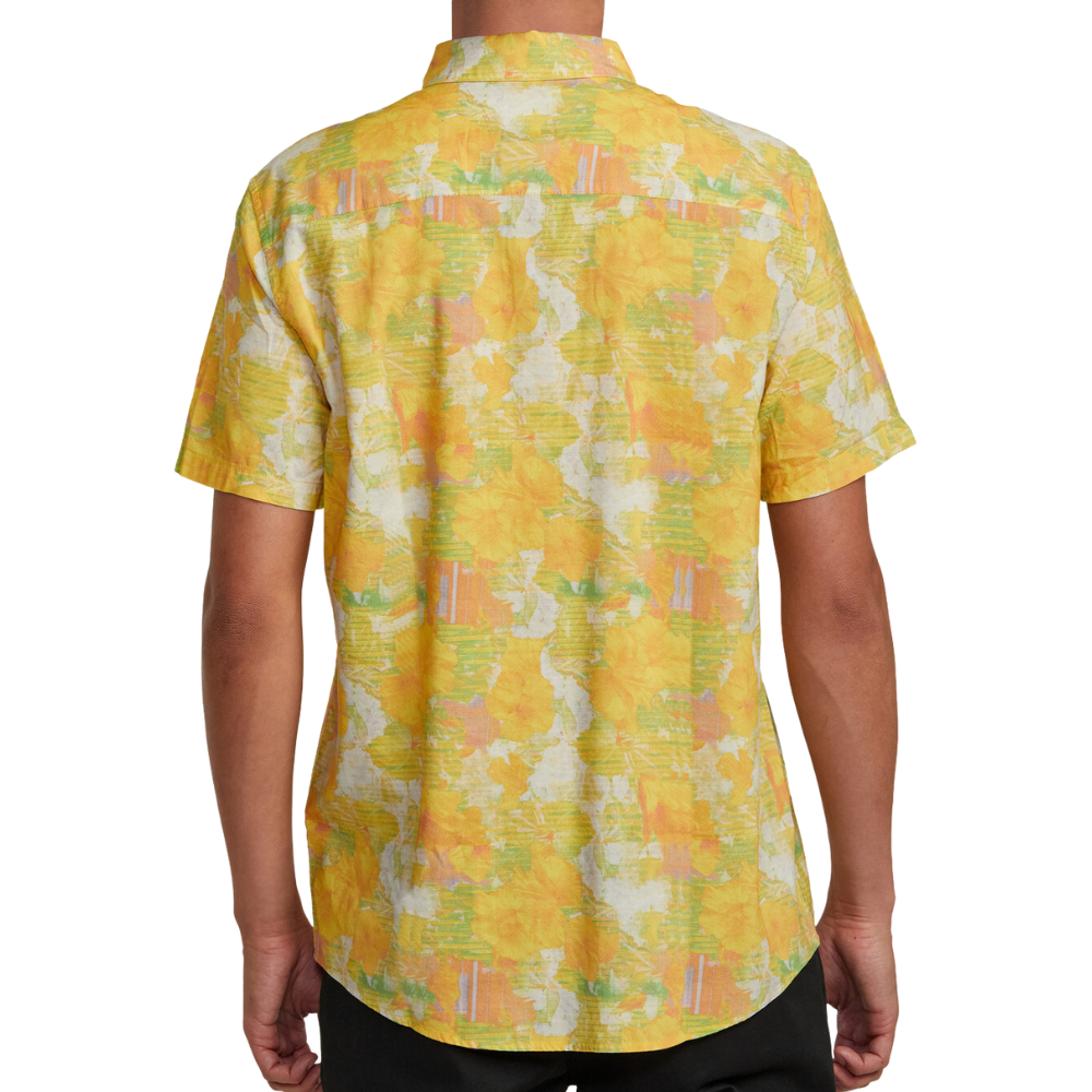 SUSSINGHAM SS M WVTP SPECTRA YELLOW Bild 3