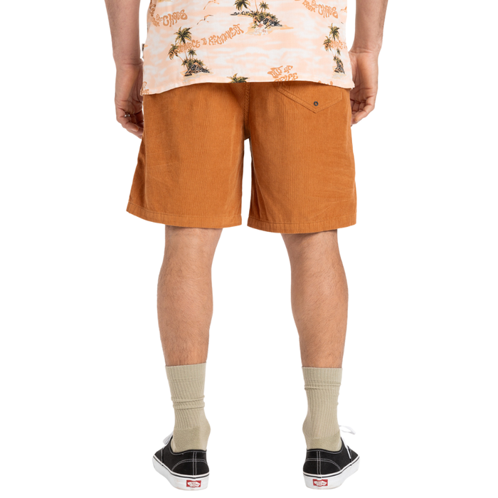 Taxercordws Bran Bild 2