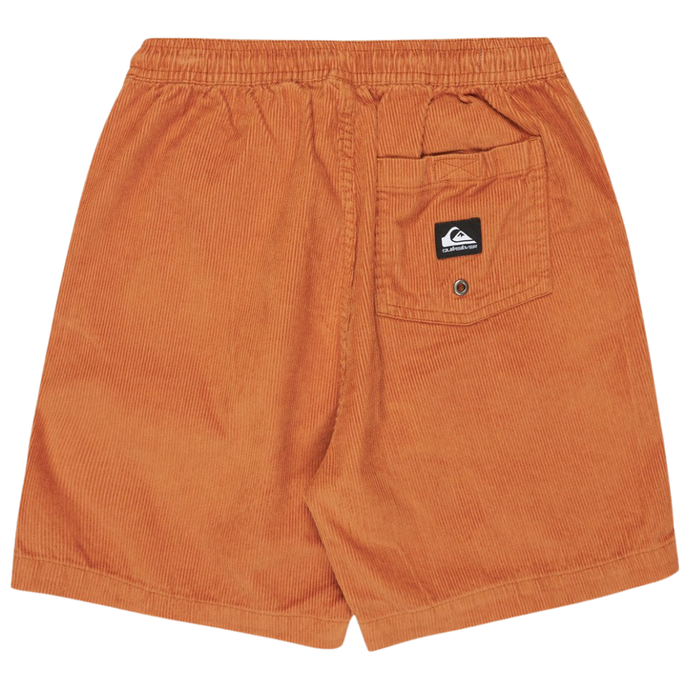 Taxercordyouth Bran Bild 2