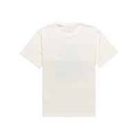 TIMBER CAPTURED SS EGRET Bild 2