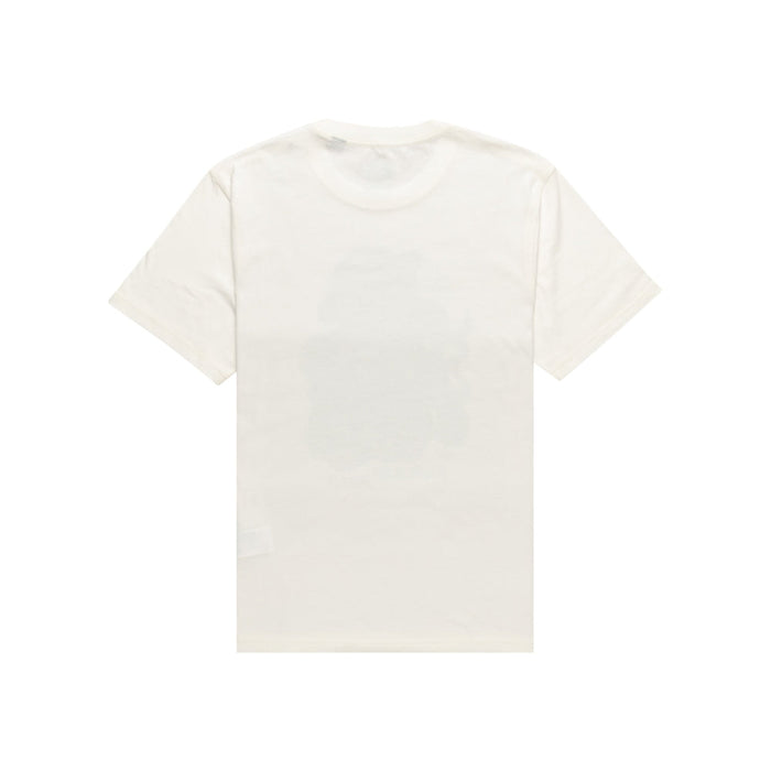 TIMBER CAPTURED SS EGRET Bild 2