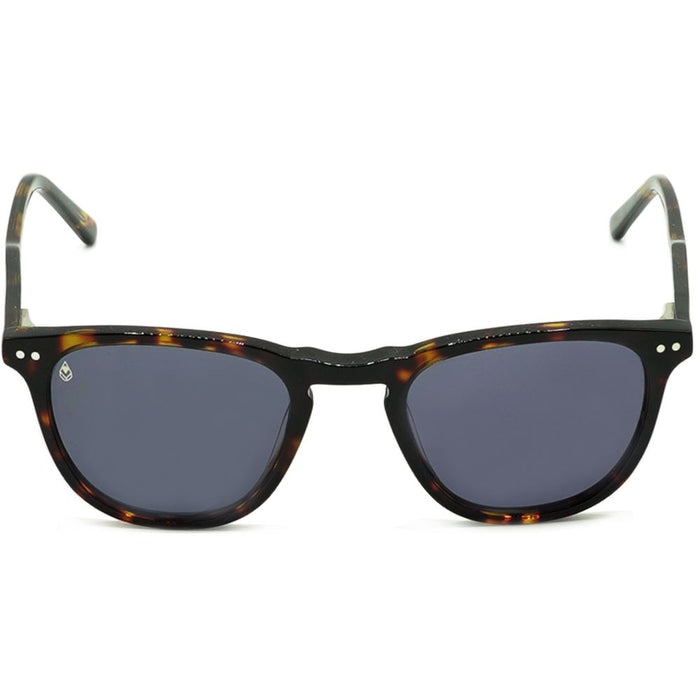 Phiesual Brown Tortoise Bild 2