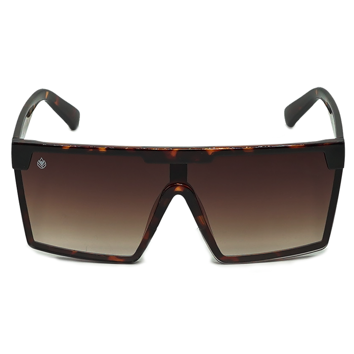Battlephight Tortoise Brown-Gradi Bild 2