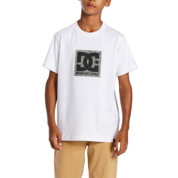DC - DCSQUARSTARFILL  TEES  - WHITE/GREYSTONE - T-Shirt